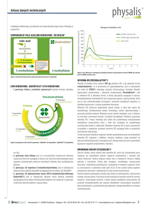WITAMINA B COMPLEX FORTE 30 TABLETEK - PHYSALIS