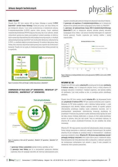 ŻELAZO + WITAMINA B12 FORTE 45 TABLETEK - PHYSALIS