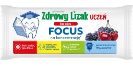 LIZAK O SMAKU WIŚNIA - JAGODA NA KONCENTRACJĘ BEZ CUKRU BEZGLUTENOWY 6 g - ZDROWY LIZAK (MNIAM MNIAM)